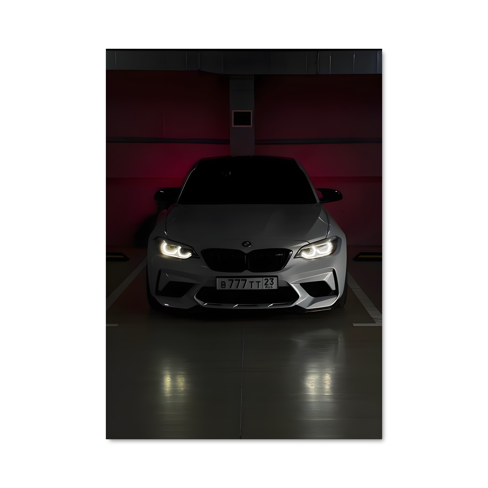 Poster Parking Privilégié